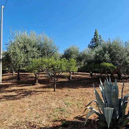Apartamento Amagea Scopello (Sicily)
