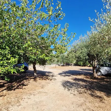 Amagea Scopello (Sicily)